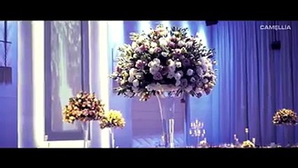 ויה VIA נס ציונה אולם אירועים וחתונות - מור & עומרי