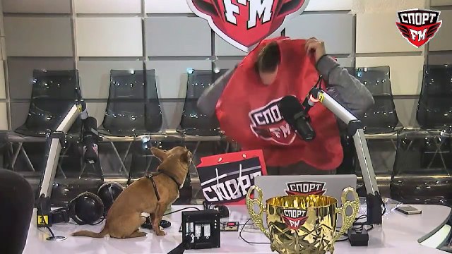 Кастинг на роль нового ведущего 100% Утра проходит Илья из Бригады У