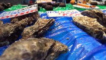 Japanese Street Food  Giant Oysters