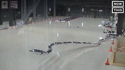 This Balloon Snake Is A Robot