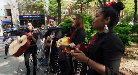 Intégrale Frederick Wiseman Vol.3