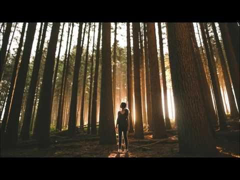 Kisnou & Blure - Falling Deeper