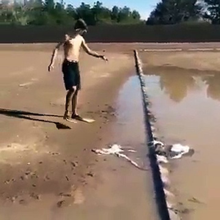 On vous présente le champion olympique de natation en eau boueuse!