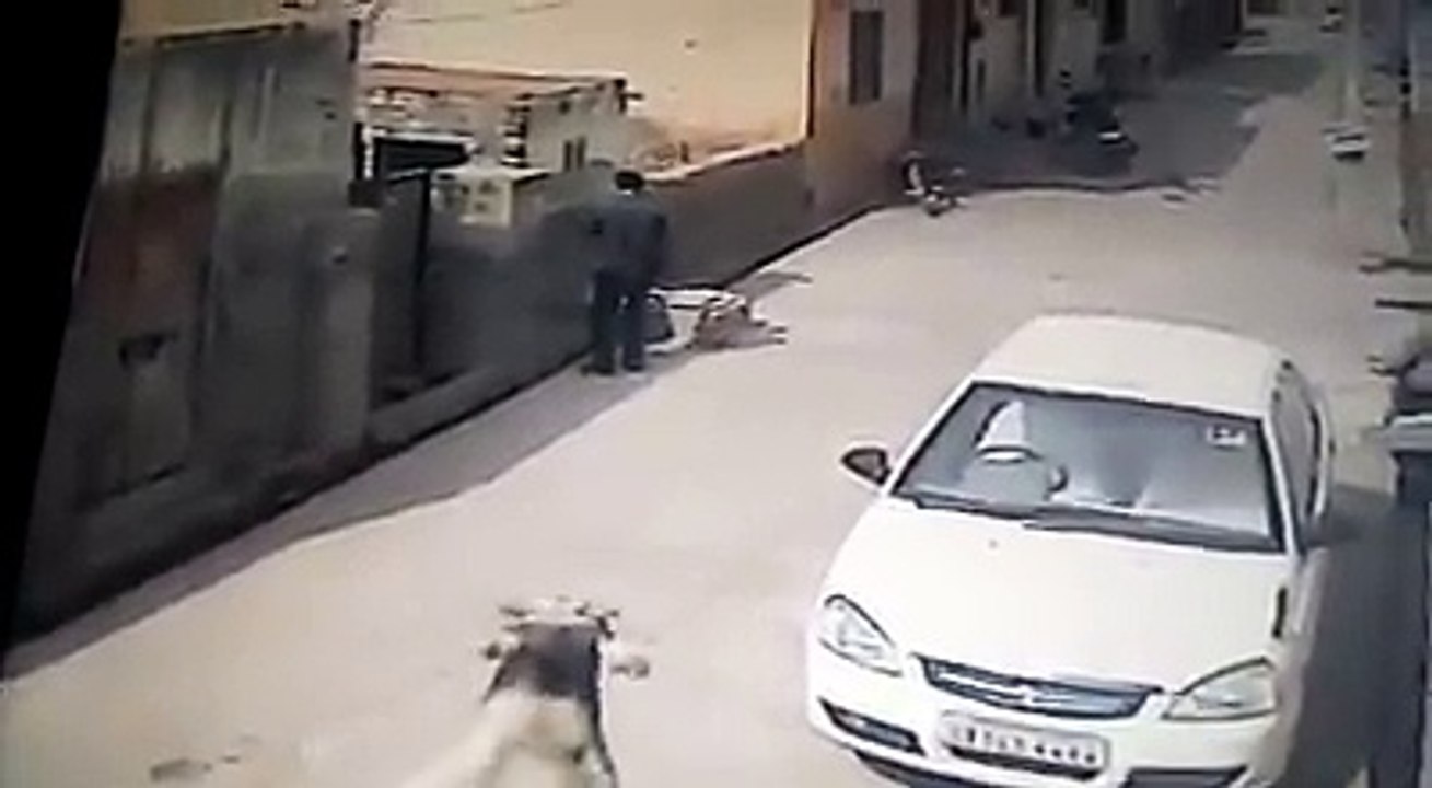 Stree bull attack on men