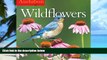 Pre Order Audubon Wildflowers Wall Calendar 2017 National Audubon Society On CD