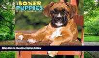 Pre Order Just Boxer Puppies 2017 Wall Calendar (Dog Breed Calendars) Willow Creek Press Audiobook
