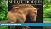 Pre Order Spirit Horses 2017 Wall Calendar Tony Stromberg mp3