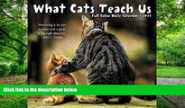 Audiobook What Cats Teach Us 2017 Box Calendar Willow Creek Press Audiobook Download