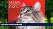 Pre Order Just Maine Coon Cats 2017 Wall Calendar (Cat Breed Calendars) Willow Creek Press