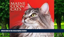 Pre Order Just Maine Coon Cats 2017 Wall Calendar (Cat Breed Calendars) Willow Creek Press