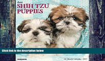Pre Order Just Shih Tzu Puppies 2017 Wall Calendar (Dog Breed Calendars) Willow Creek Press