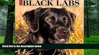 Audiobook Just Black Labs 2017 Wall Calendar (Dog Breed Calendars) Willow Creek Press mp3