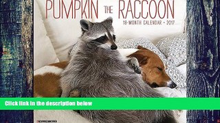Pre Order Pumpkin the Raccoon 2017 Wall Calendar Laura Young mp3