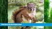 Pre Order Squirrels 2017 Wall Calendar Willow Creek Press On CD
