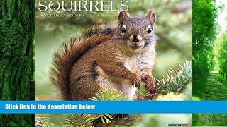 Pre Order Squirrels 2017 Wall Calendar Willow Creek Press On CD