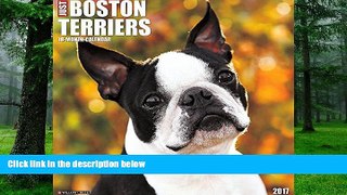 Pre Order Just Boston Terriers 2017 Wall Calendar (Dog Breed Calendars) Willow Creek Press mp3