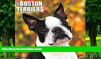Pre Order Just Boston Terriers 2017 Wall Calendar (Dog Breed Calendars) Willow Creek Press mp3