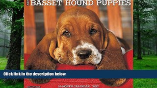 Audiobook Just Basset Hound Puppies 2017 Wall Calendar (Dog Breed Calendars) Willow Creek Press mp3