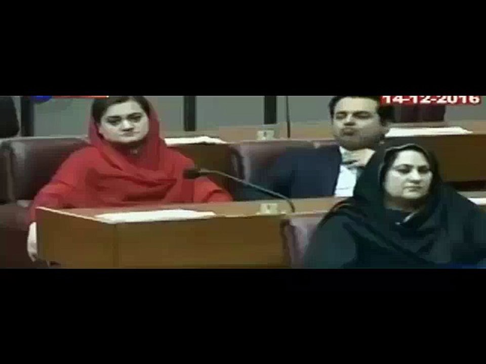 See What Talal Chaudhry Is Doing In Parliament