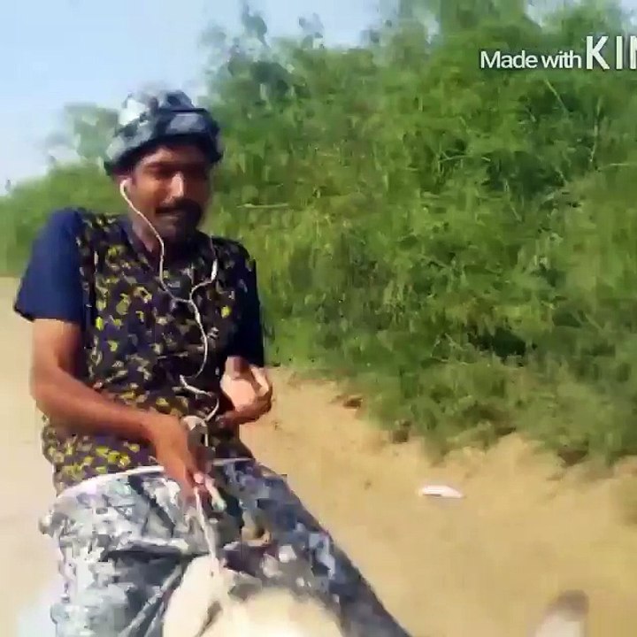 applied for donkey desi funny clip