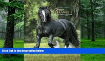 Audiobook Gypsy Vanner Horse 2017 Engagement Calendar Mark Barrett On CD