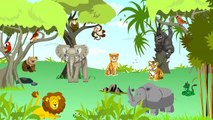 Dżungla: odgłosy zwierząt, dźwięki jakie wydają zwierzęta - nauka zabawa dla dzieci
