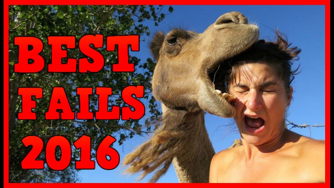 Best Fails Compilation November 2016