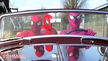 Superhero in Real Life Superheroes Dancing In A Car Spiderman, Pink Spidergirl & Deadpool Funny Mo
