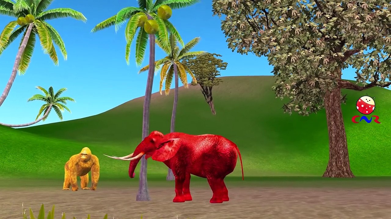 Little Baby Boy Giant Dinosaurs Finger Family Rhymes | More Animals Finger Family Compilation