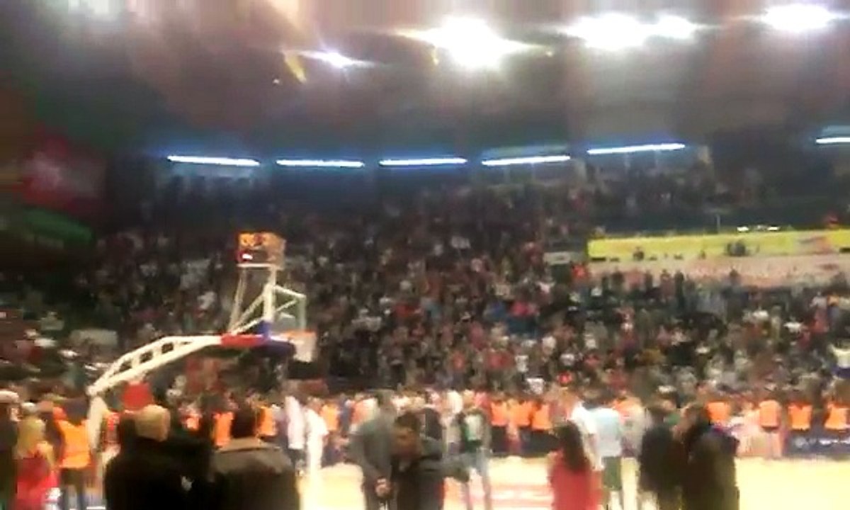 Delije - BAS NAJVISE NA SVETU! / Crvena zvezda...