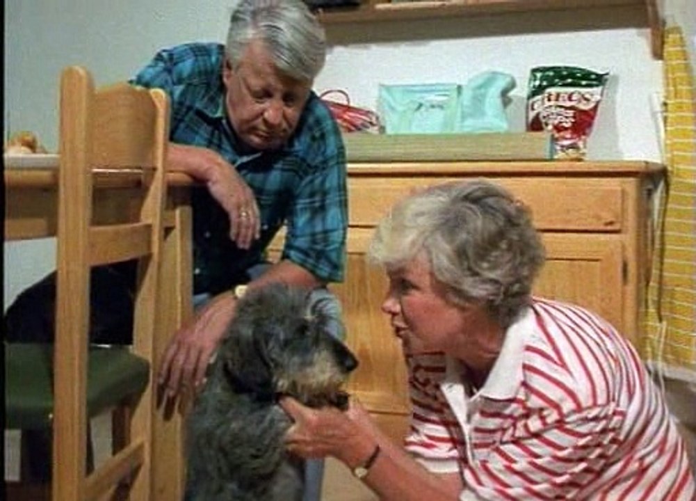 22 Ein Hund für Hannelore