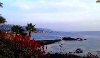 Autumn Time Passing [Laguna Beach  CA]