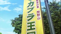 TVアニメ「サクラクエスト」　ティザーPV