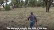 Man Punches Kangaroo To Save His Dog
