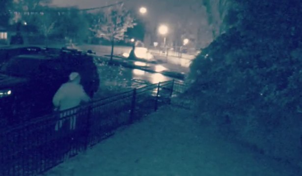 Surveillance Camera Catches Limb Falling During Oregon Ice Storm