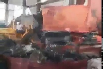 shredding honda! ohh no no can not ! stop one!