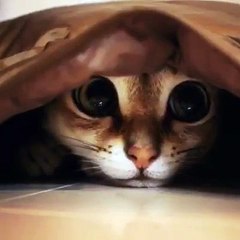 When it's freezing and you ain't getting out of bed for anyone