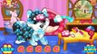 Cats And Dogs Grooming Salon | Best Game for Little Kids - Baby Games To Play
