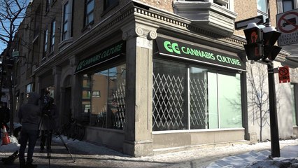 Lojas de maconha são abertas em Montreal