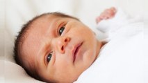 Il Regno Unito autorizza l’utilizzo di tre Dna differenti per procreazione