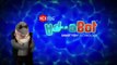 Hexbug - Aquabot - Seahorse & Jellyfish / Konik Morski i Meduza - TV Toys