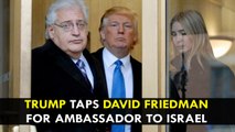 Donald Trump taps David Friedman for ambassador to Israel