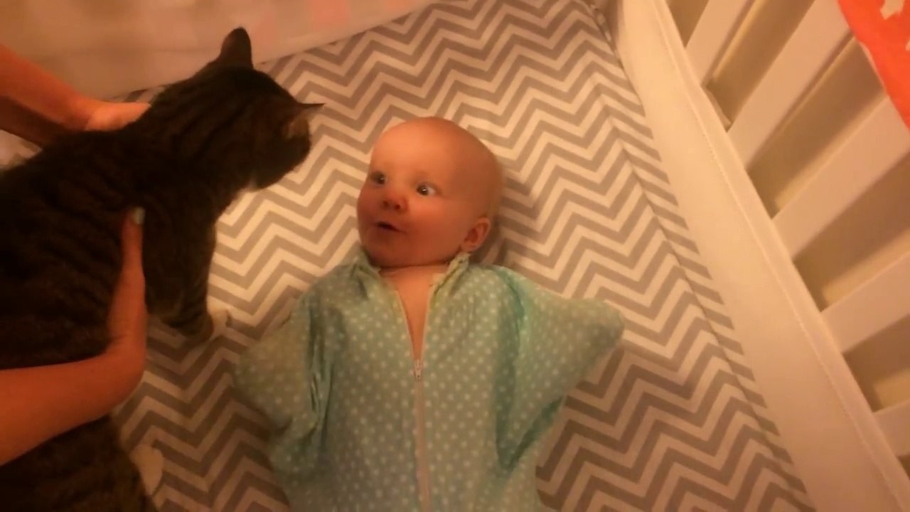 Baby loves cat - super cute