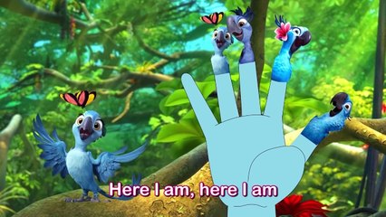 #New #Toy #Story #3 #Finger #Family #Cartoon #Animation #Nursery #Rhyme #Lyrics and more