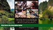 Read Online Stephanie Springgay Body Knowledge and Curriculum: Pedagogies of Touch in Youth and