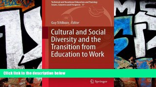 Price Cultural and Social Diversity and the Transition from Education to Work (Technical and