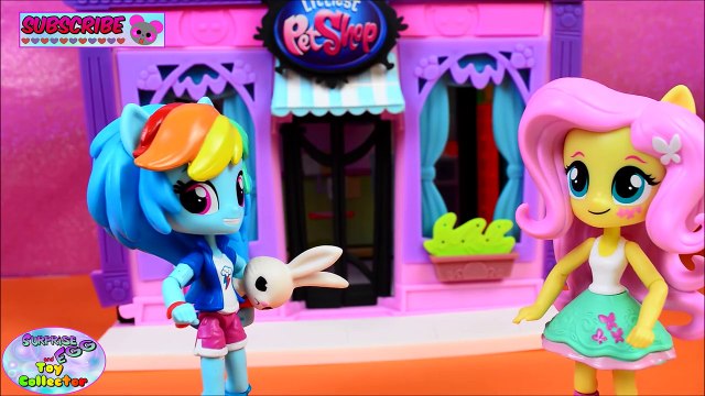 My Little Pony Equestria Girls Minis Fluttershy Meets Angel MLP Episode 1 SETC
