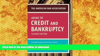 Read Book American Bar Association Guide to Credit and Bankruptcy, Second Edition: Everything You