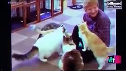 Adele, Celine Dion and Rihanna win awards at BBMA 2016