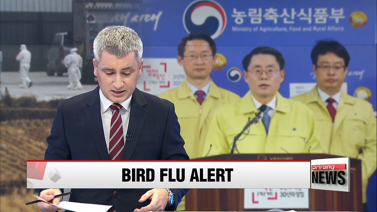 Korea issues highest alert against bird flu for first time